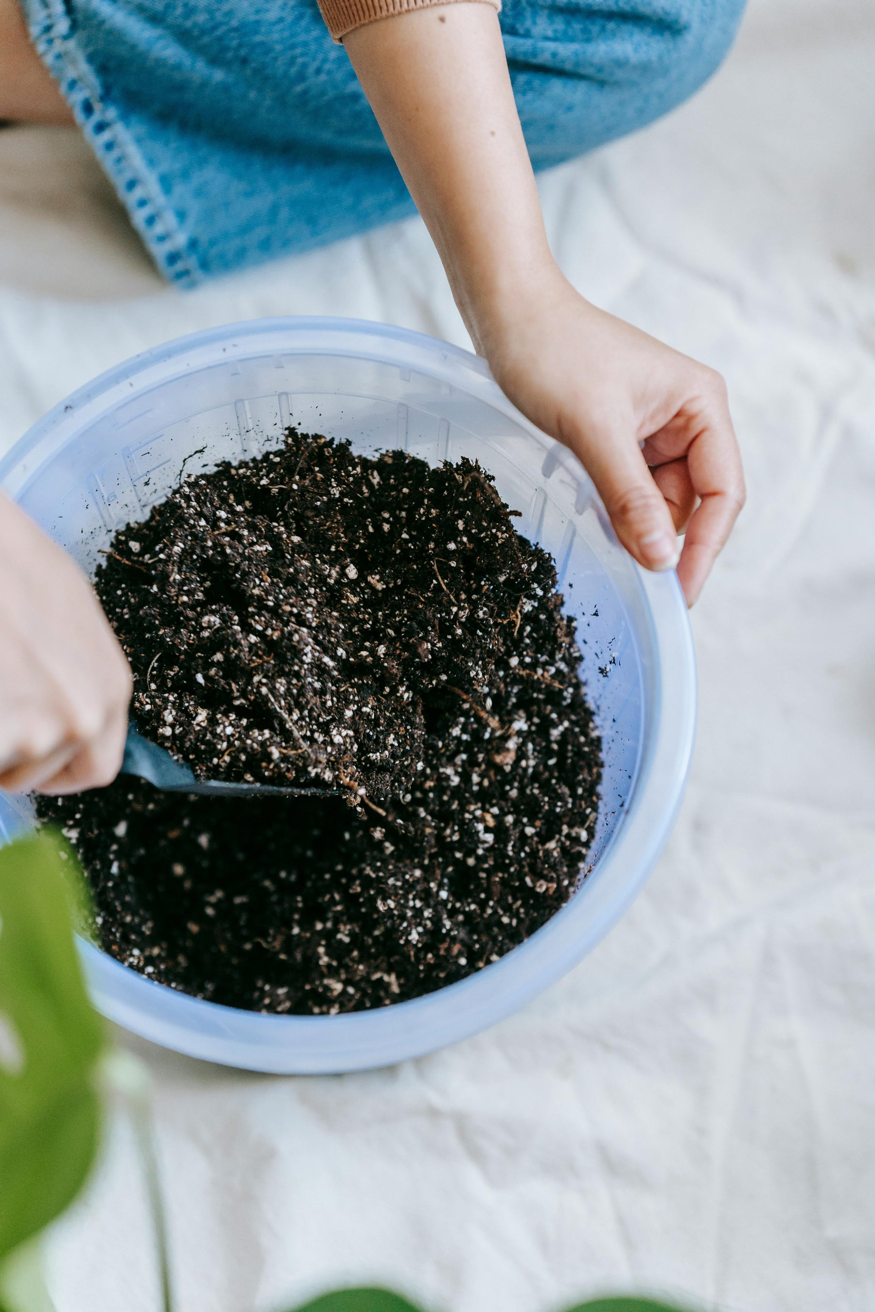 Soil & Fertilizer