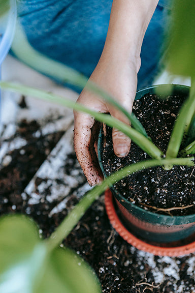 Garden Supplies