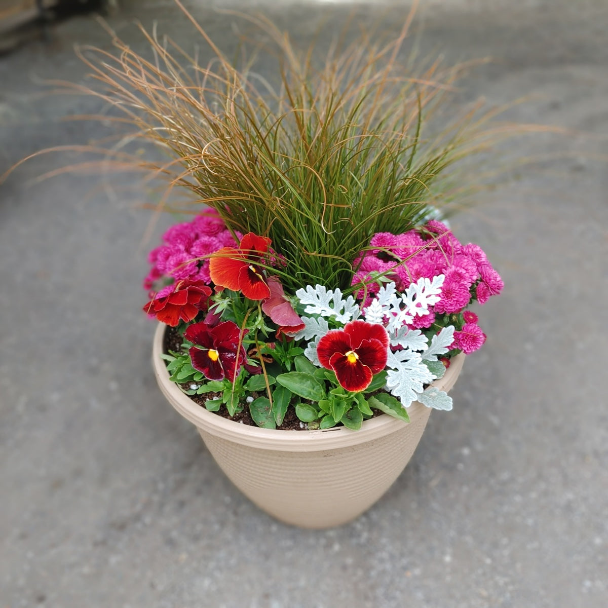 12” Fall Planter