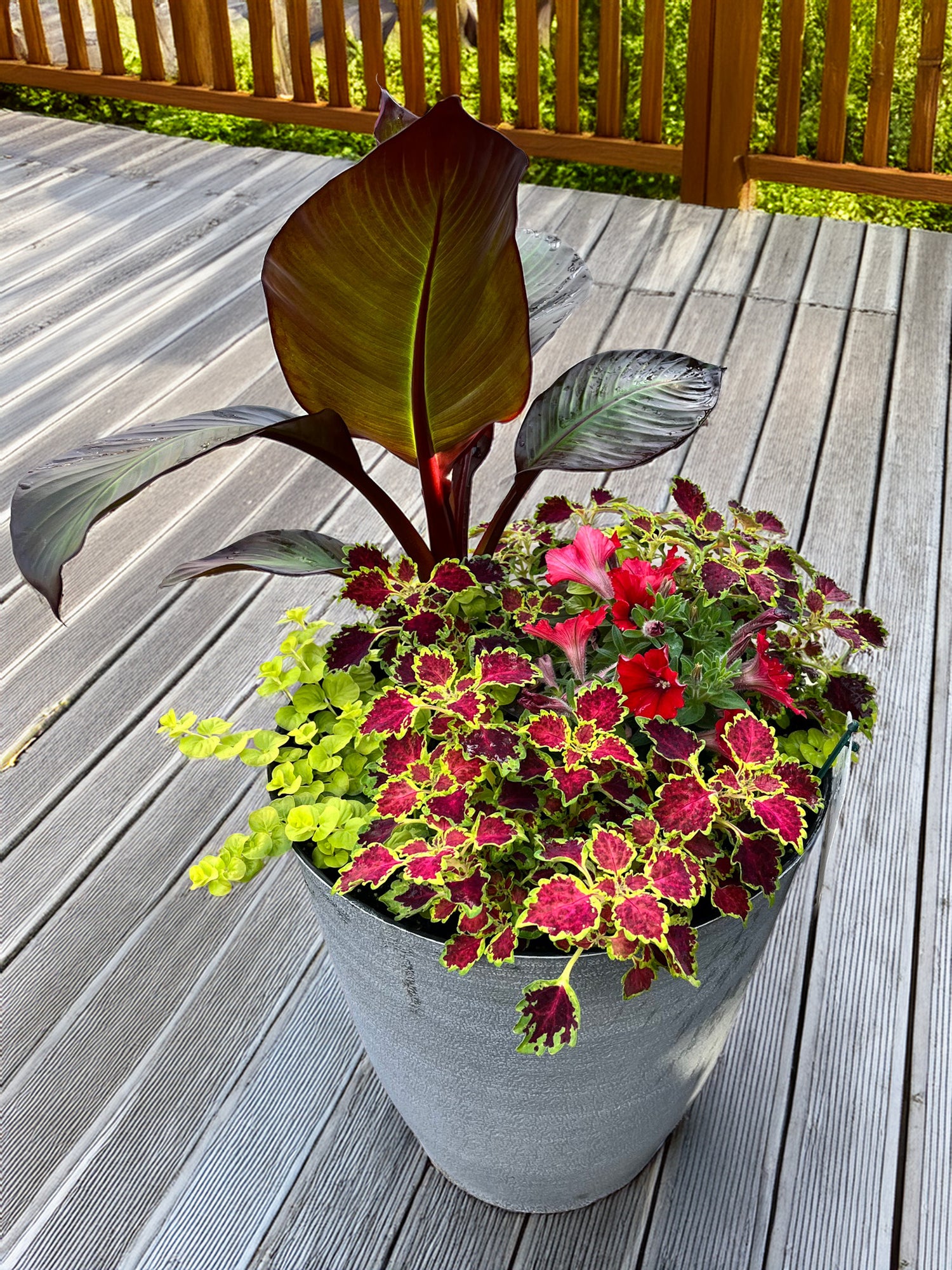 14" Annual Premium Mixed Planter