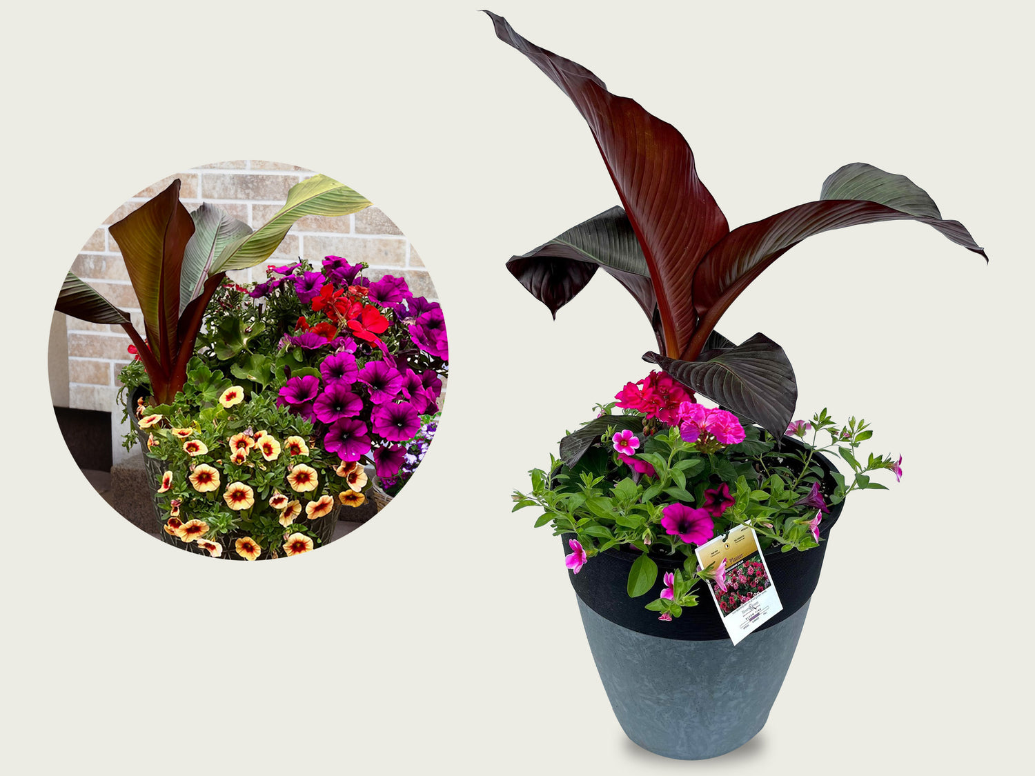 FUND 14" Premium Annual Planter
