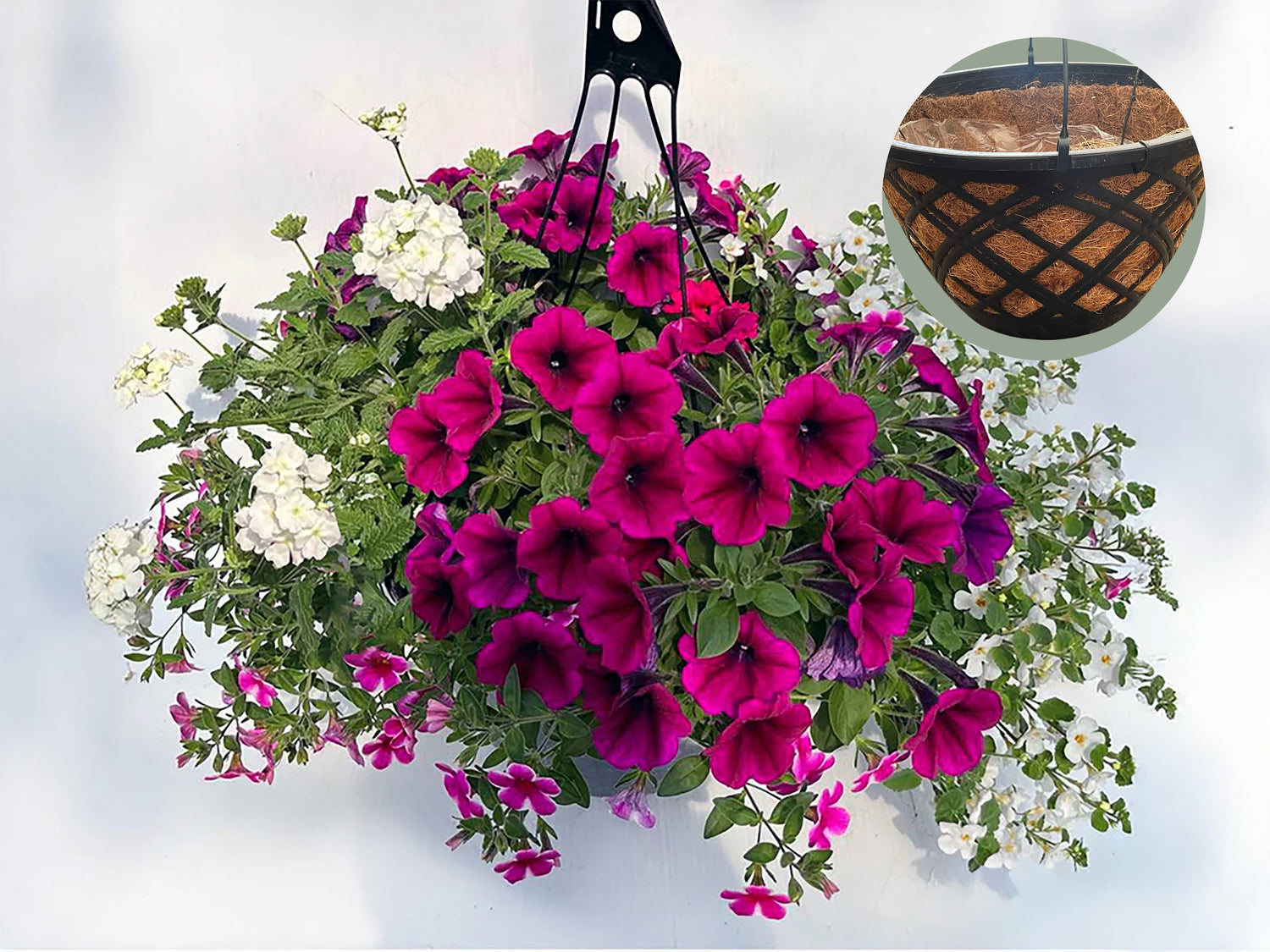 FUND 14" Premium Annual Hanging Basket