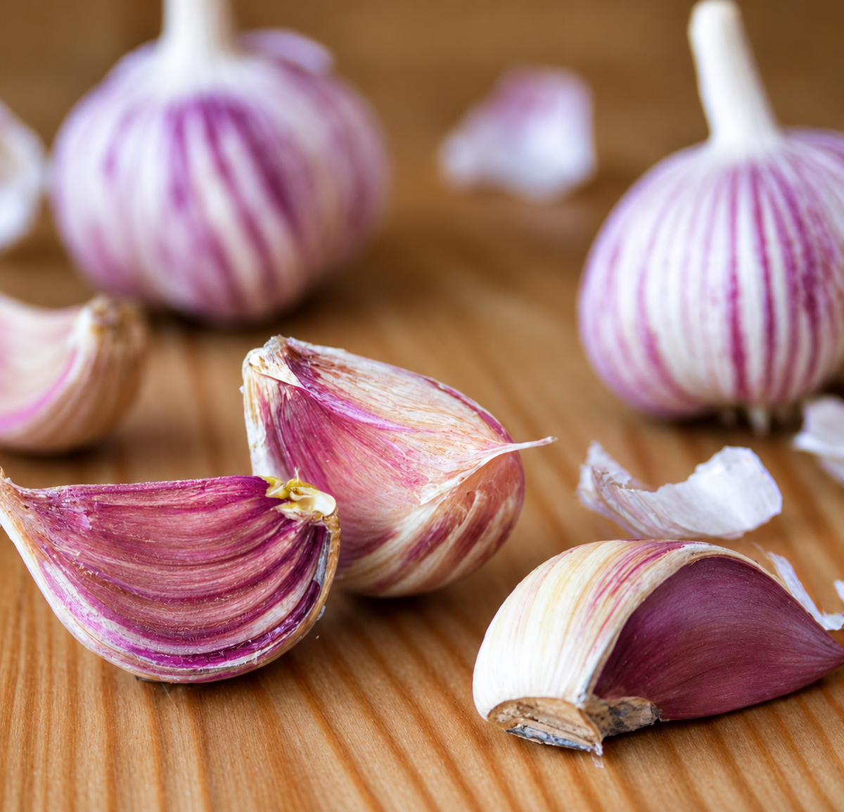 Russian Red Garlic Bulbs