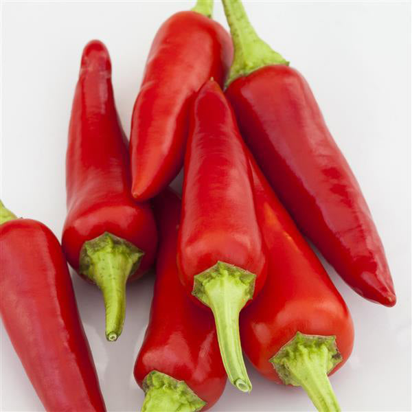 4" Pepper