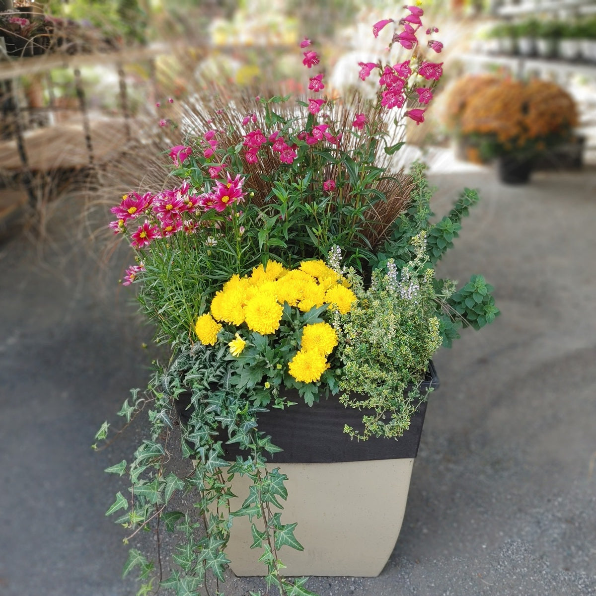 16” Fall Planter