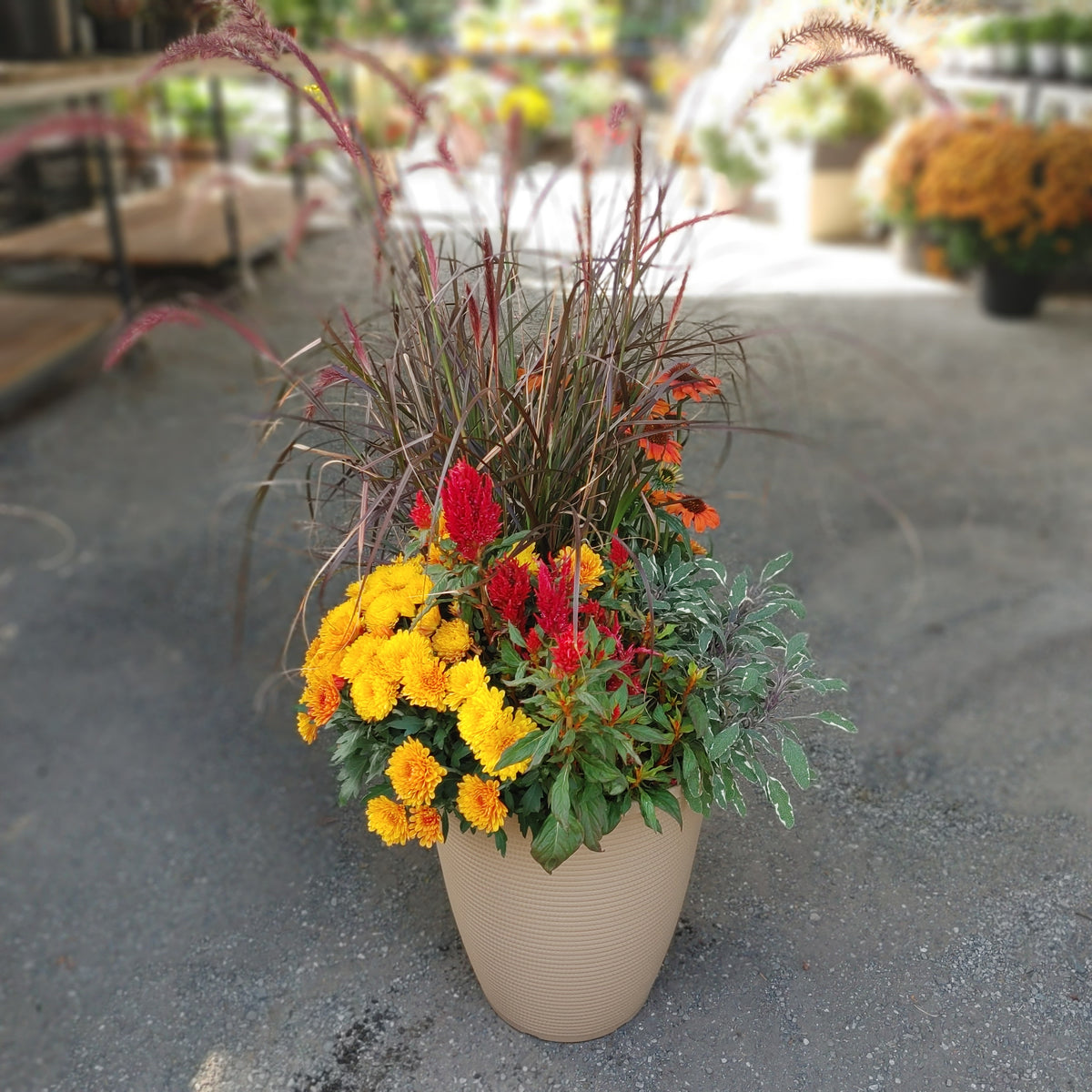 14” Fall Planter