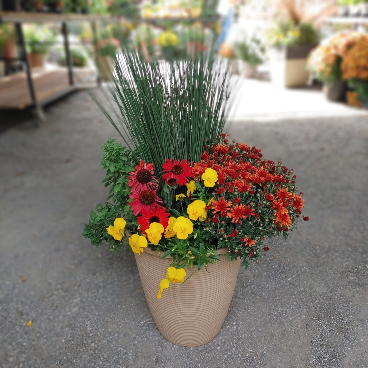 14” Fall Planter