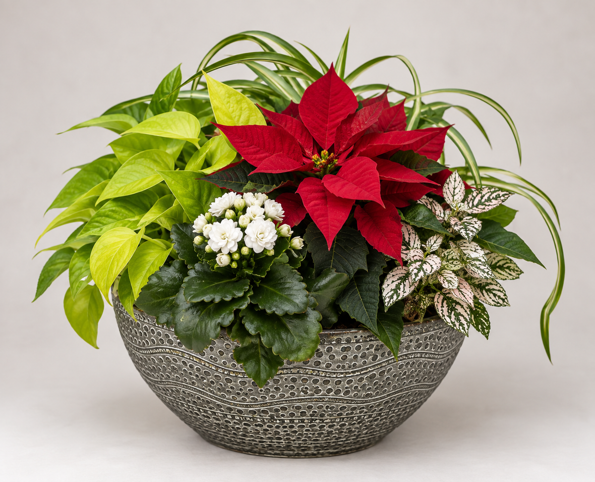 Large Holiday Planter — 12"