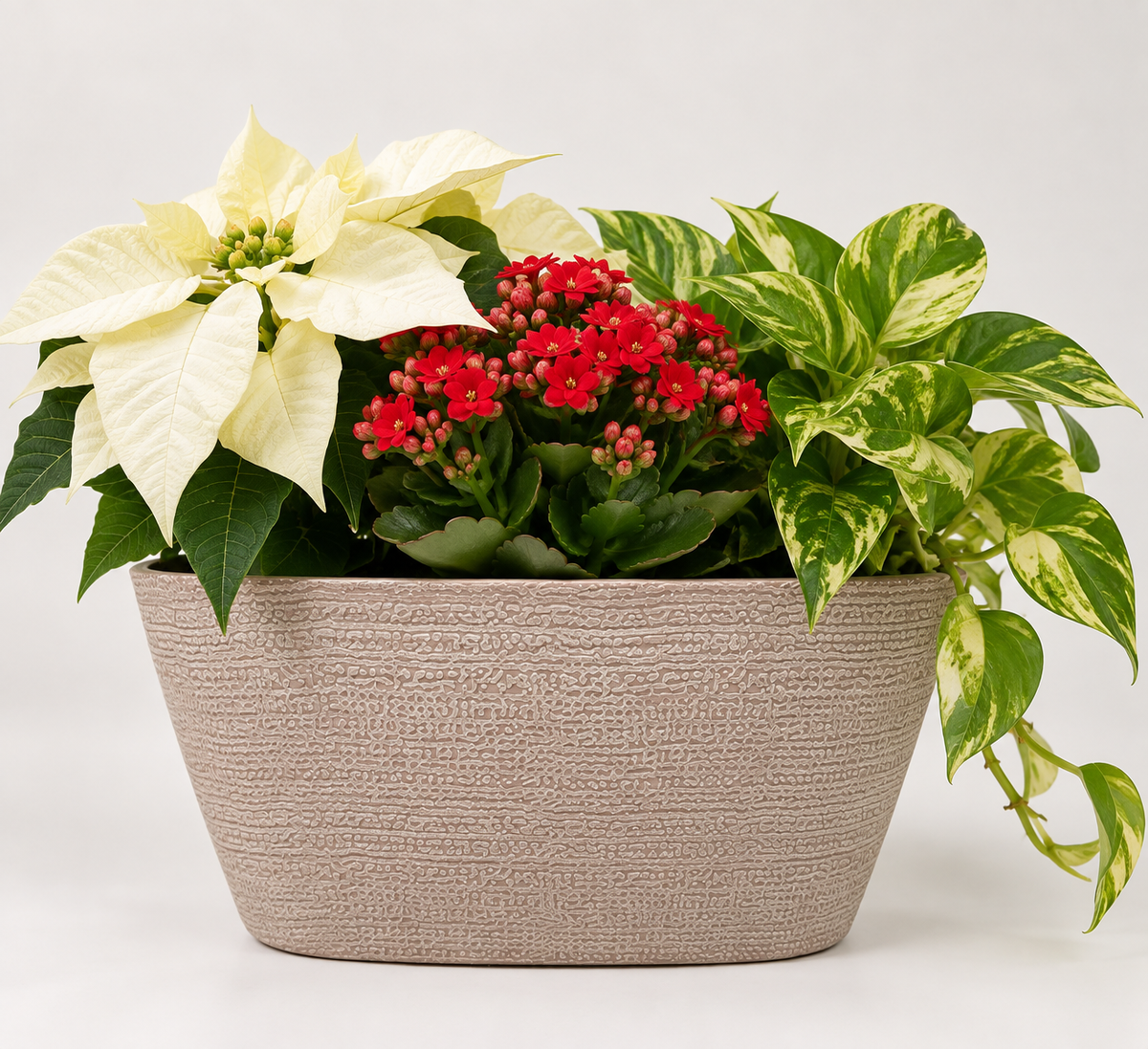 Medium Holiday Planter – 8" Planter