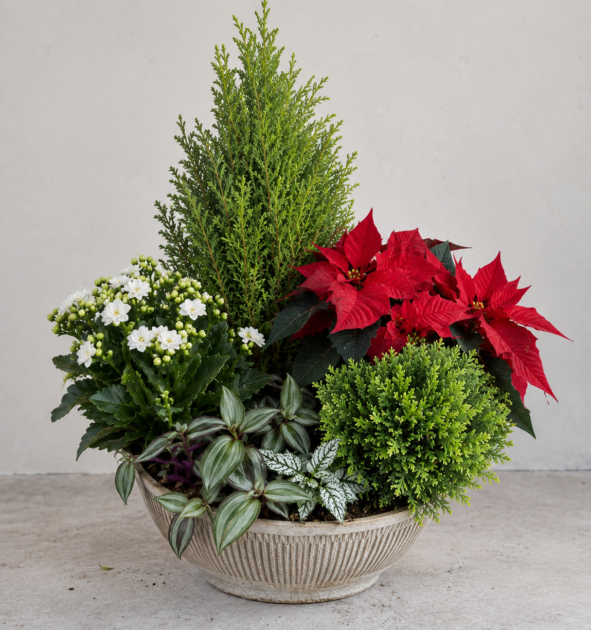 Extra Large Holiday Planter — 14"