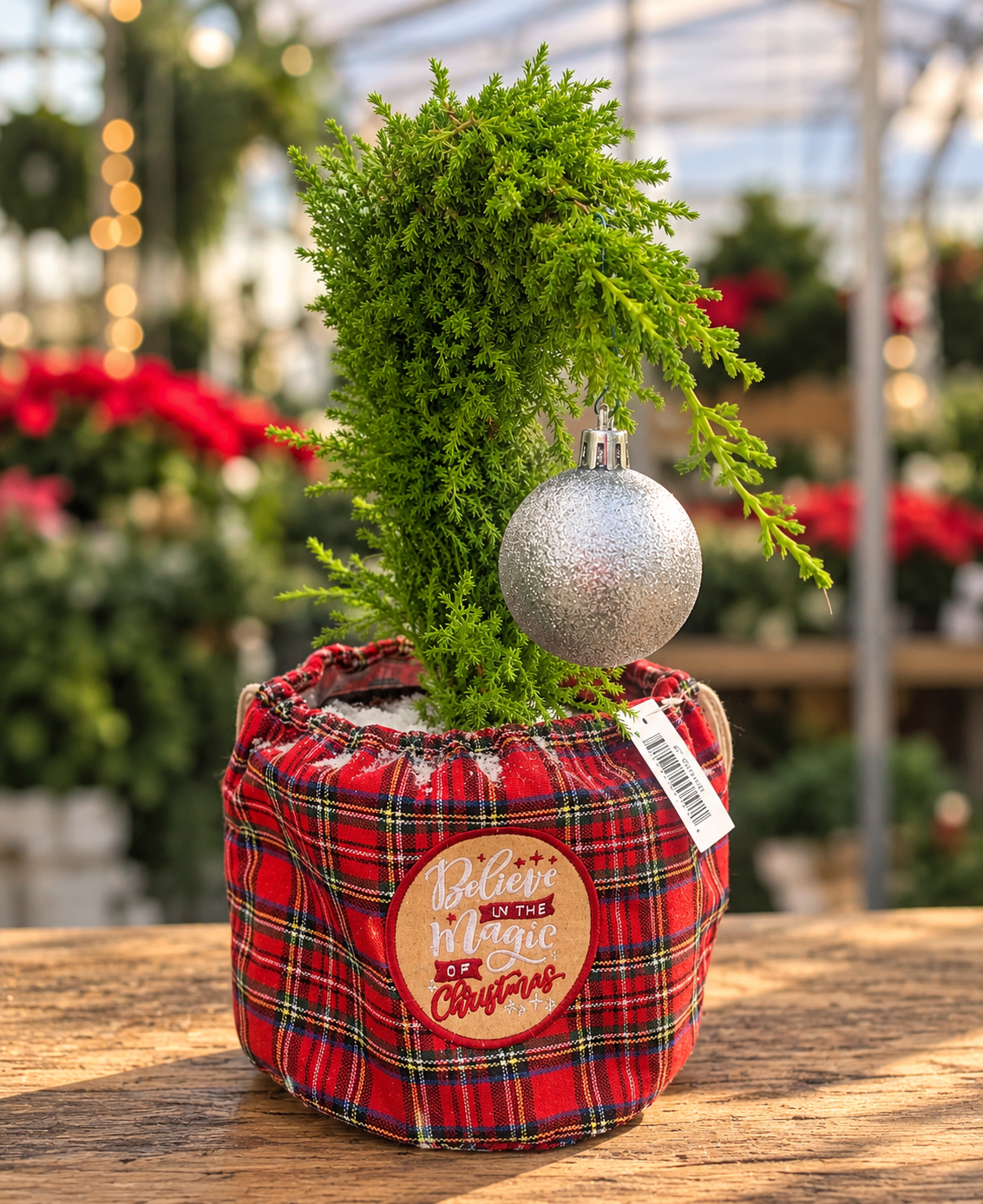 Grinch Christmas Tree in Sack – 6" Pot