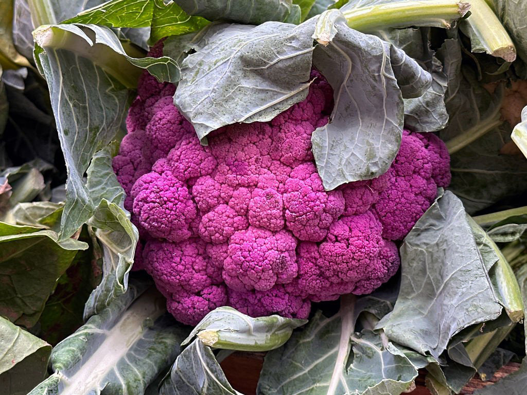 606 Cauliflower