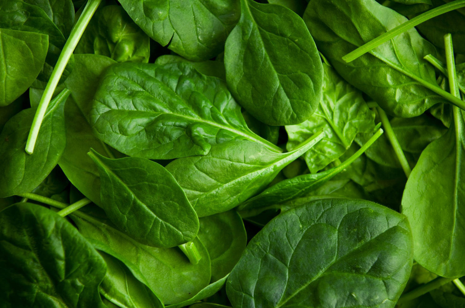 606 Spinach