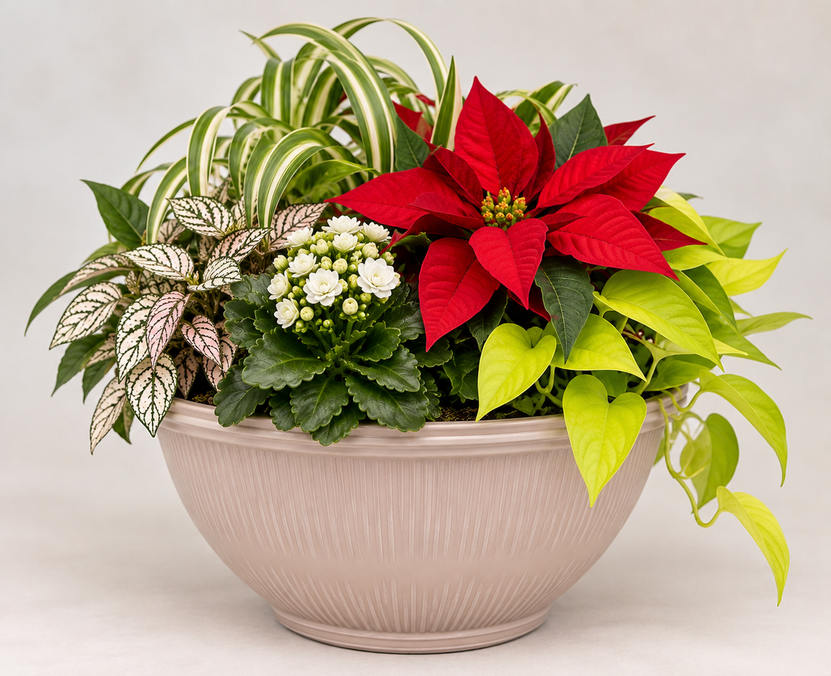 Large Holiday Planter — 12" Bowl