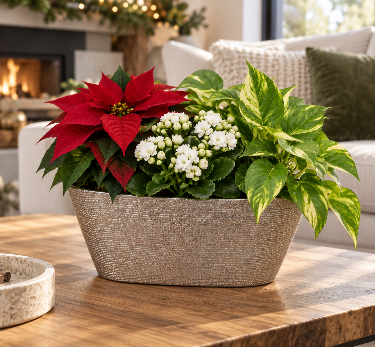 Medium Holiday Planter – 8" Planter