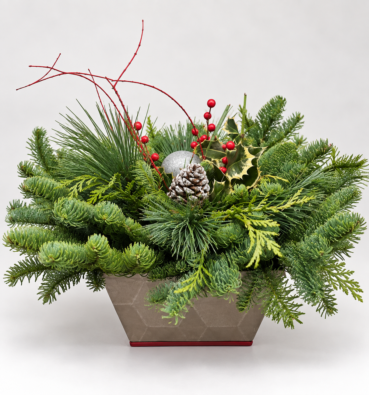 Small Winter Greens Centrepiece — Mixed Winter Greens