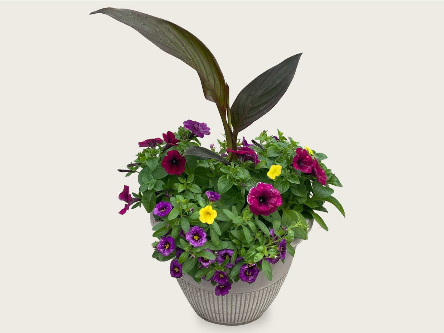 FUND 12" Annual Mix Planter