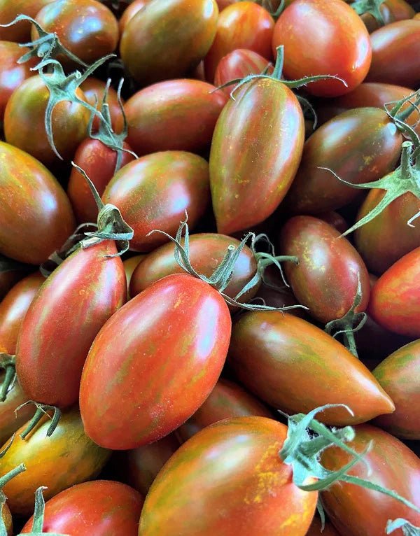 Grape Tomatoes Bronze Torch Seeds