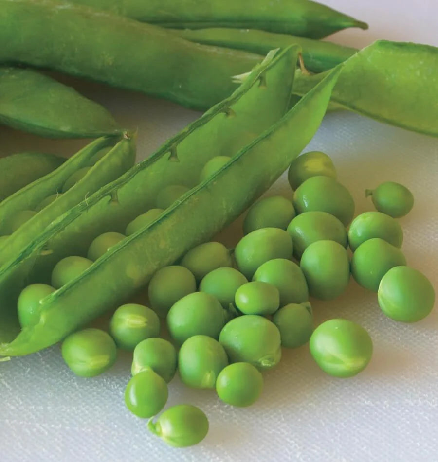 Green Arrow Shelling Pea Seeds