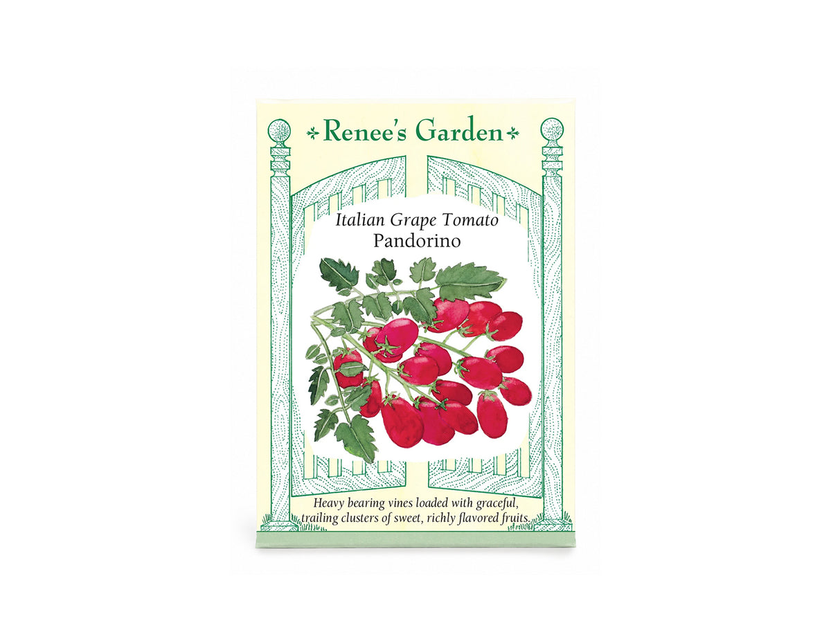Italian Grape Tomato Pandorino Seeds