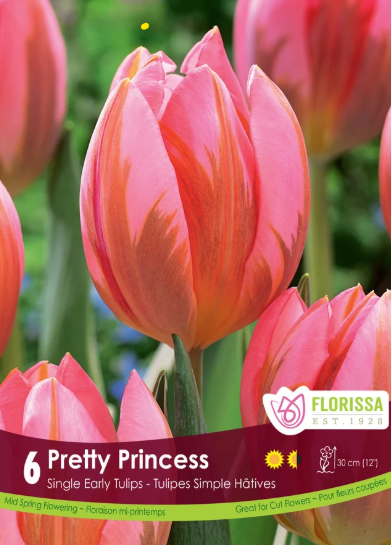Tulip Bulbs- Pretty Princess