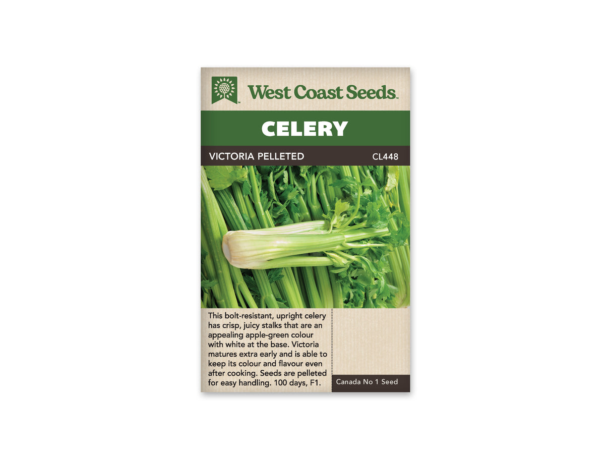Victoria Pelleted Celery Seeds