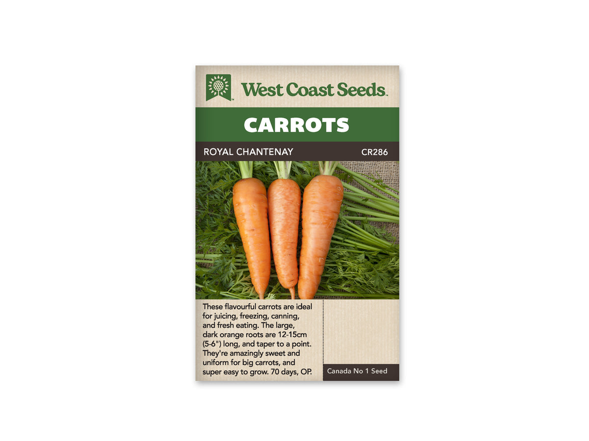 Royal Chantenay Carrot Seeds