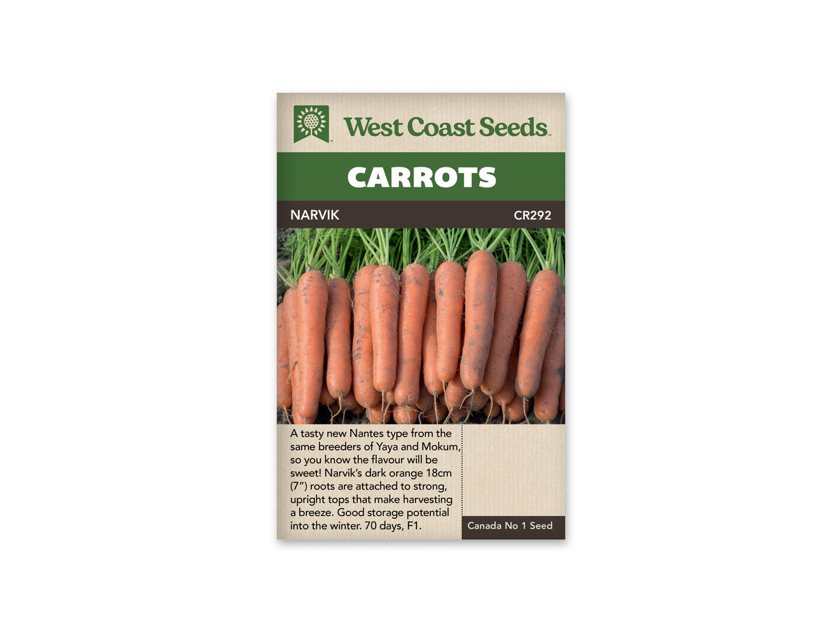 Narvik Carrot Seeds