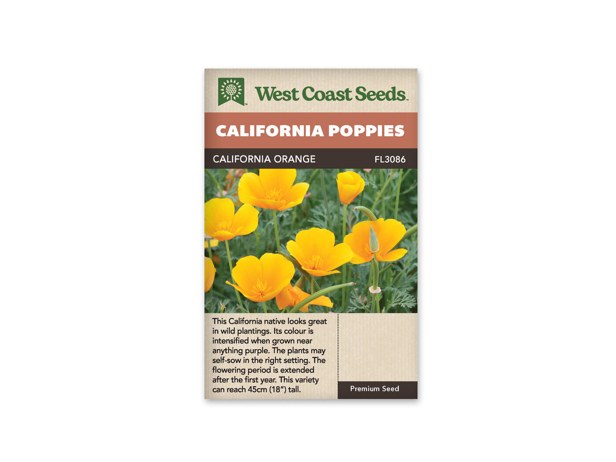 California Orange California Poppy Seeds