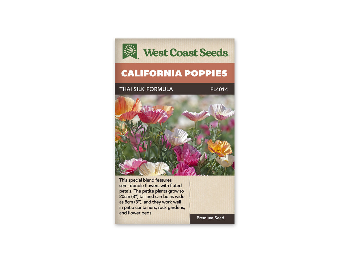 Thai Silk Formula Mix Seeds