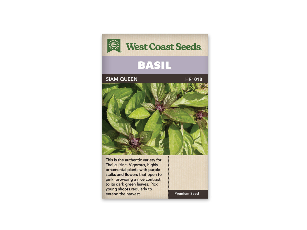 Siam Queen Thai Basil Seeds
