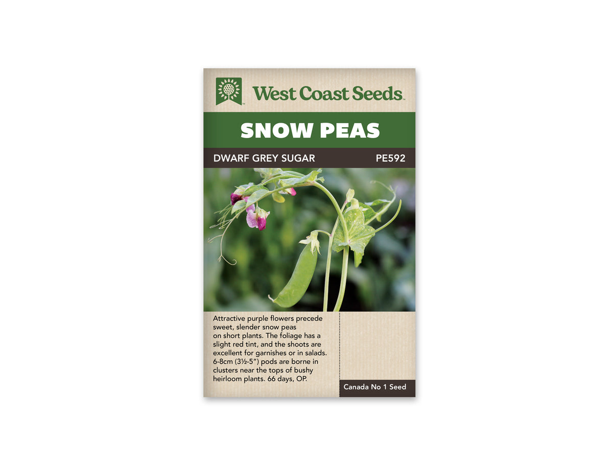Dwarf Grey Sugar Snow Pea Seeds