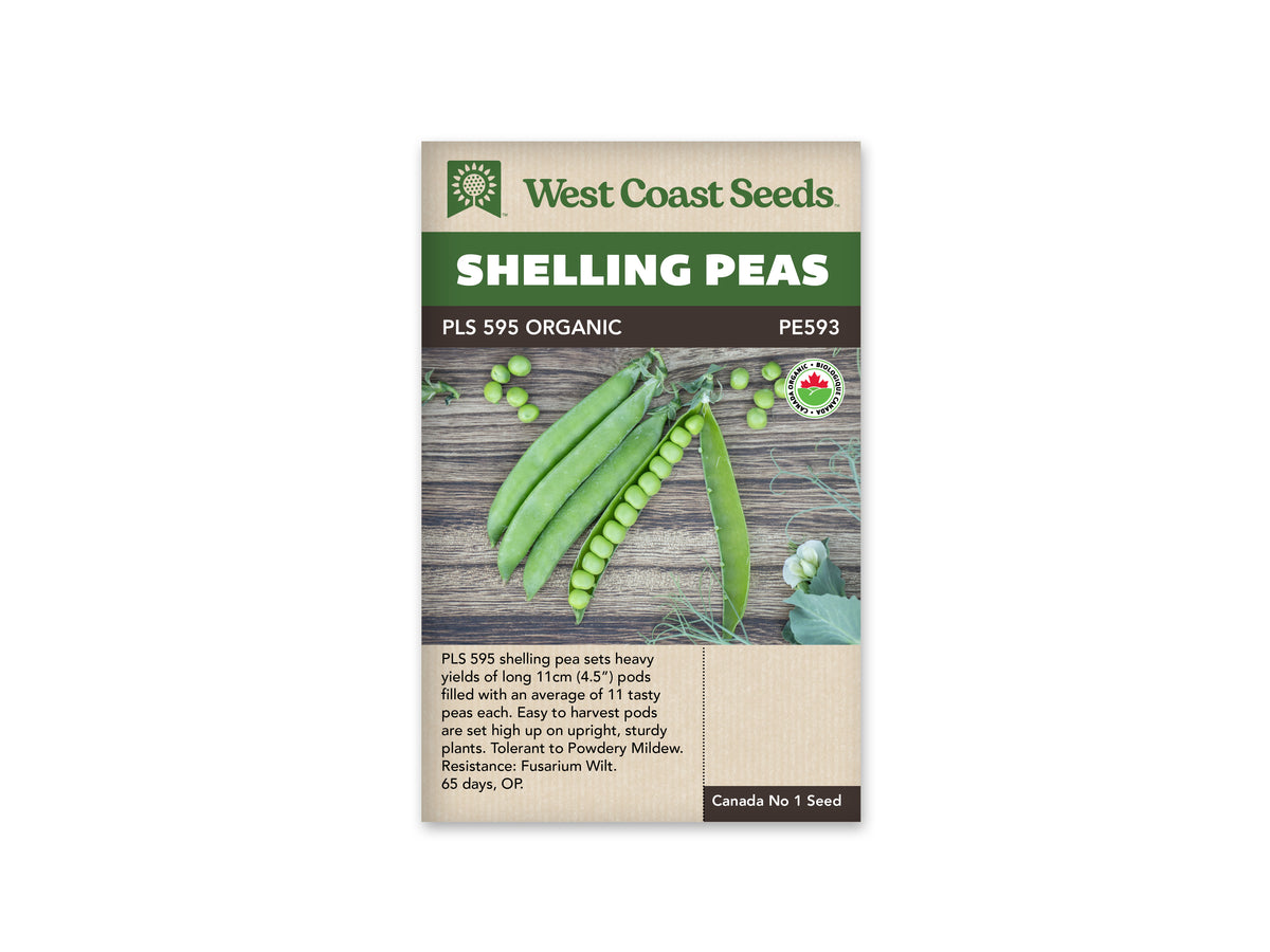 PLS 595 Organic Shelling Pea Seeds