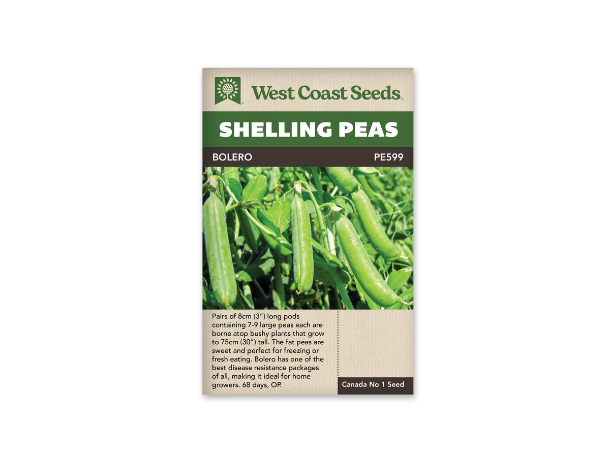 Bolero Shelling Pea Seeds