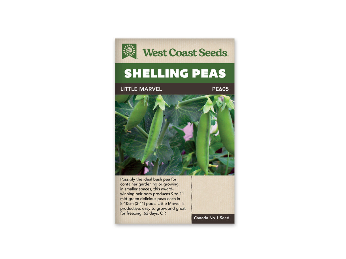 Little Marvel Shelling Pea Seeds
