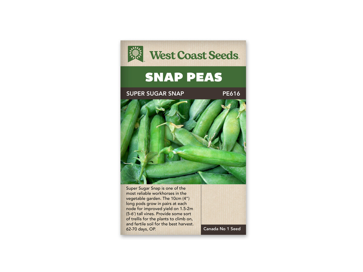 Super Sugar Snap Pea Seeds