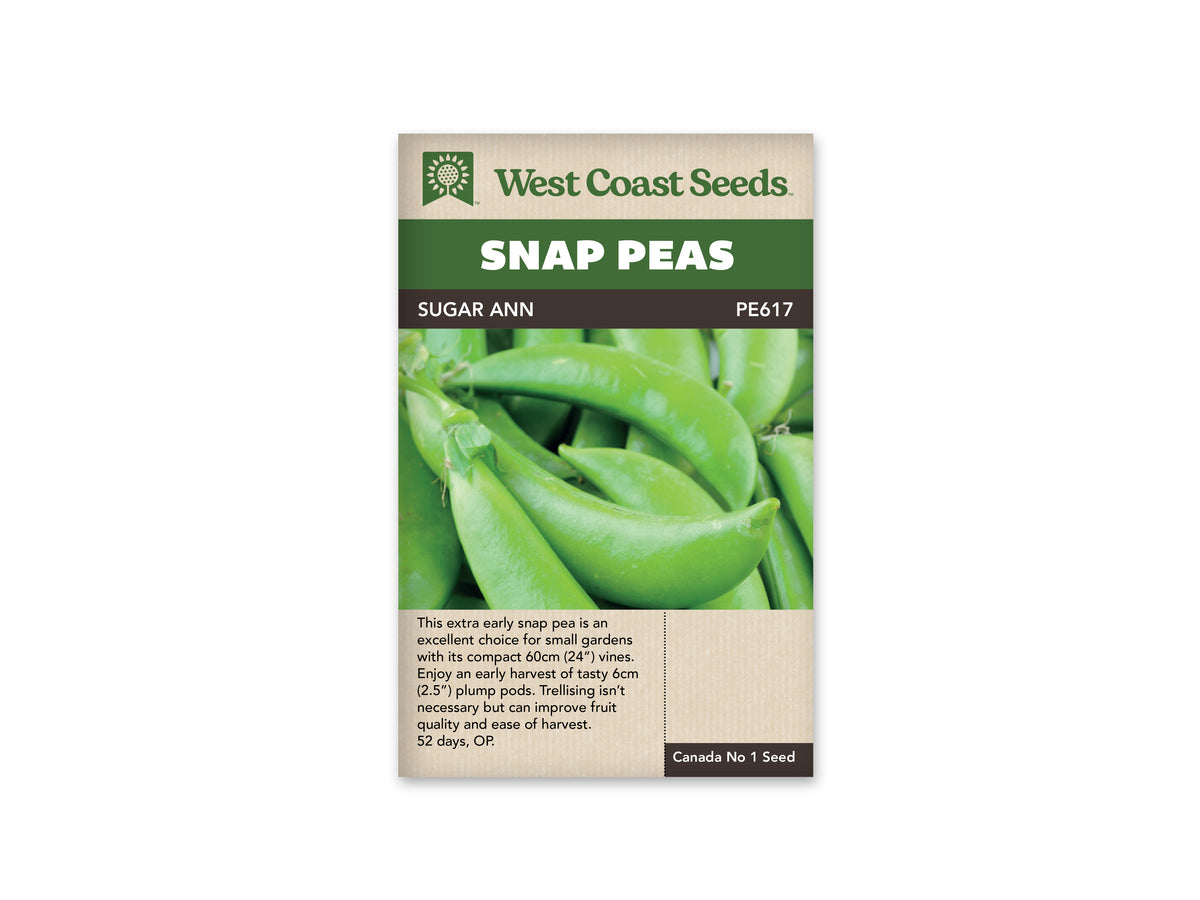 Sugar Ann Snap Pea Seeds