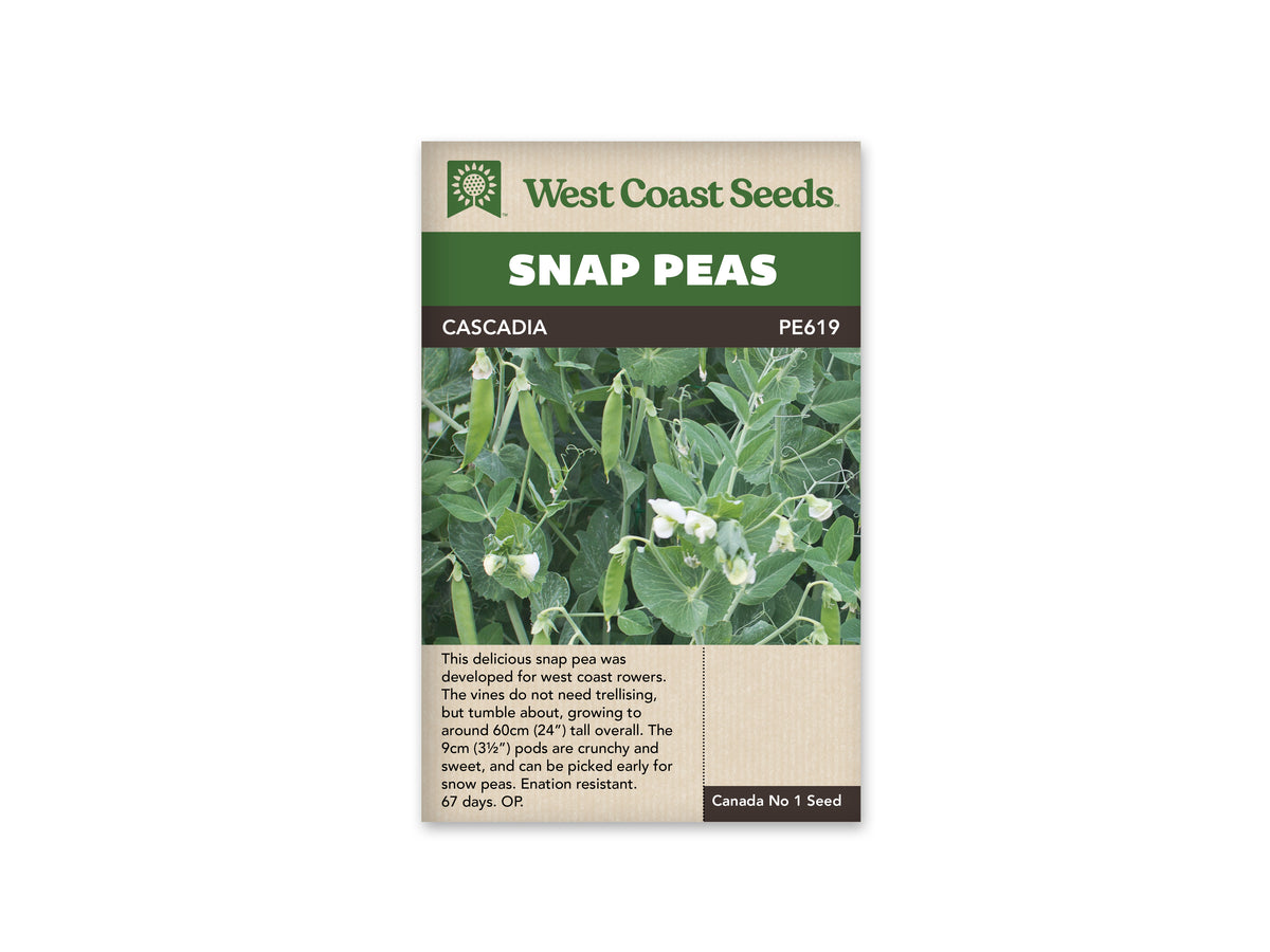 Cascadia Snap Pea Seeds