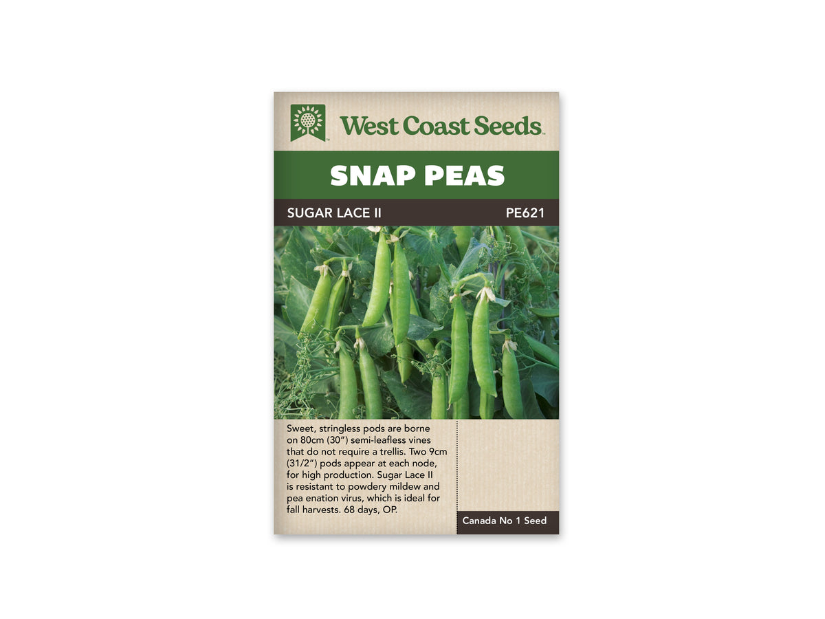 Sugar Lace II Snap Pea Seeds
