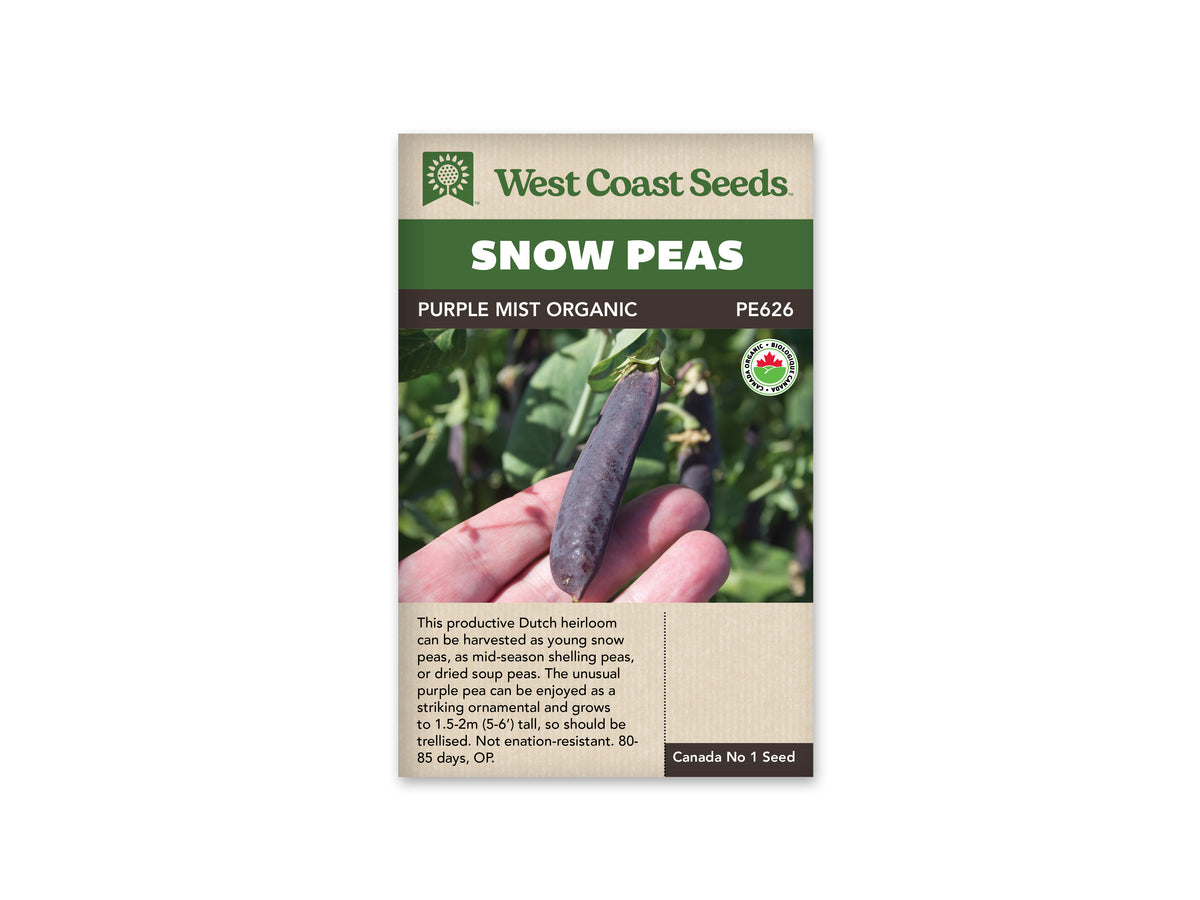 Purple Mist Organic Shelling Pea Seeds