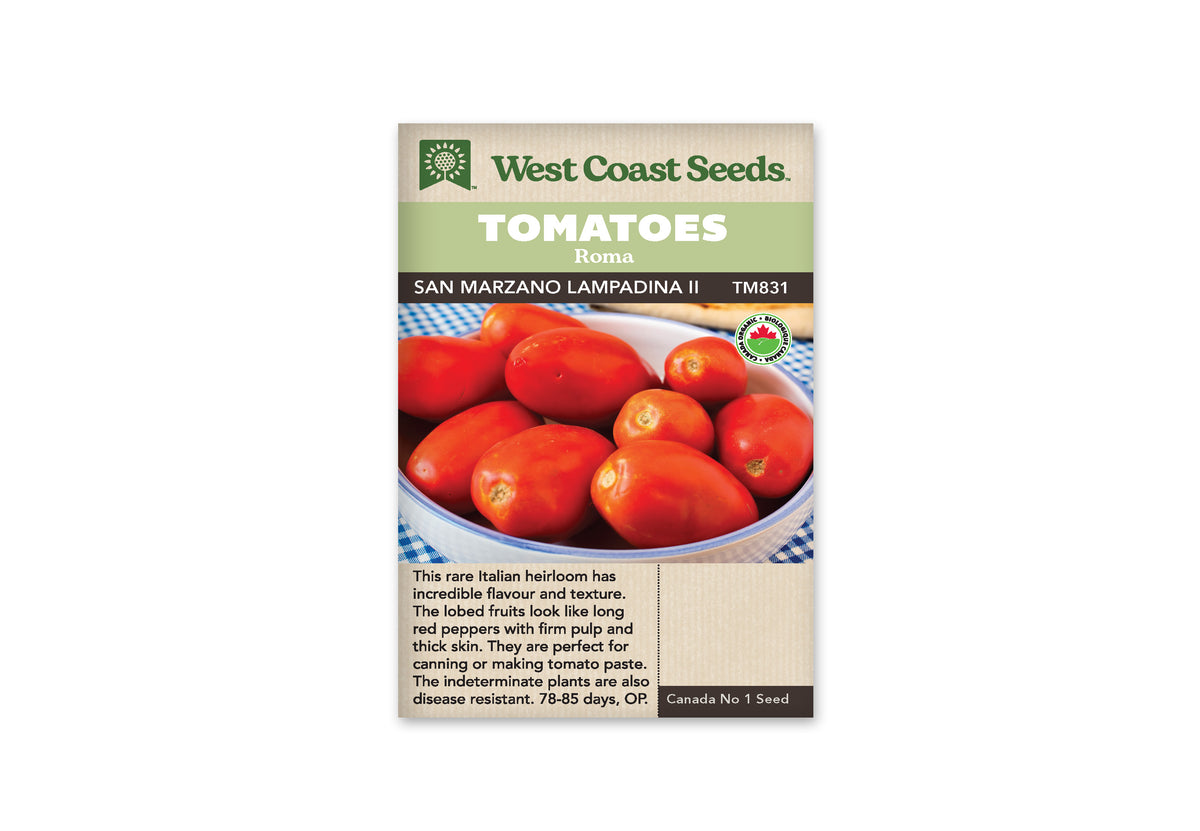 San Marzano Lampadina Organic Tomato Seeds