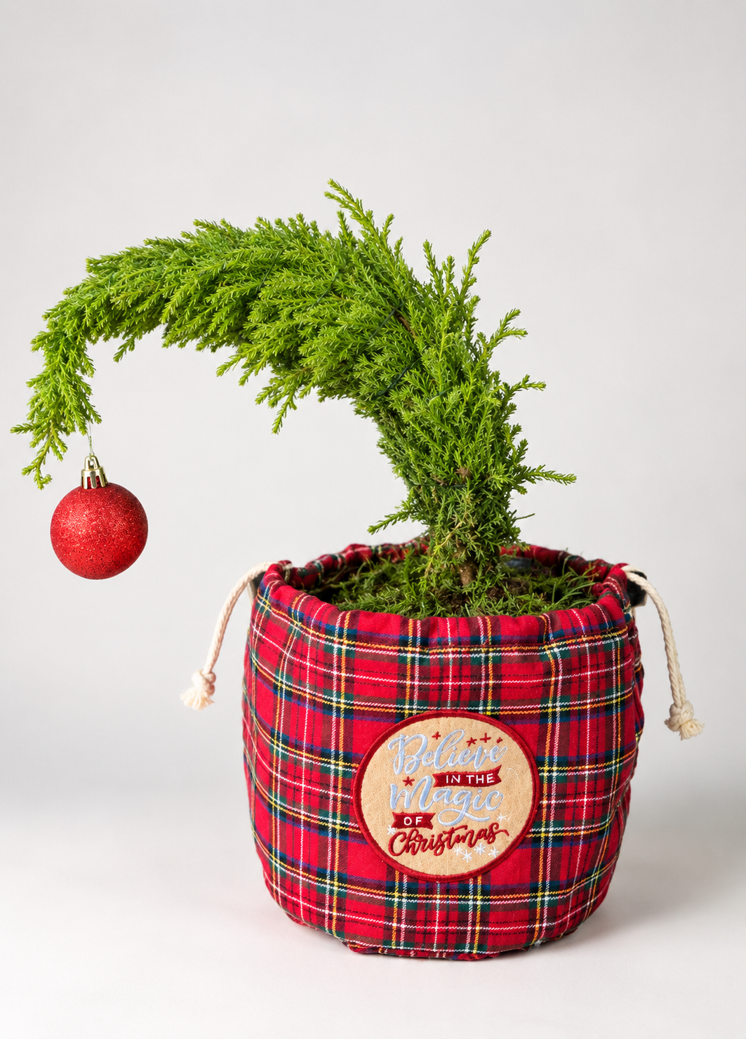 6" Grinch Tree in Sack