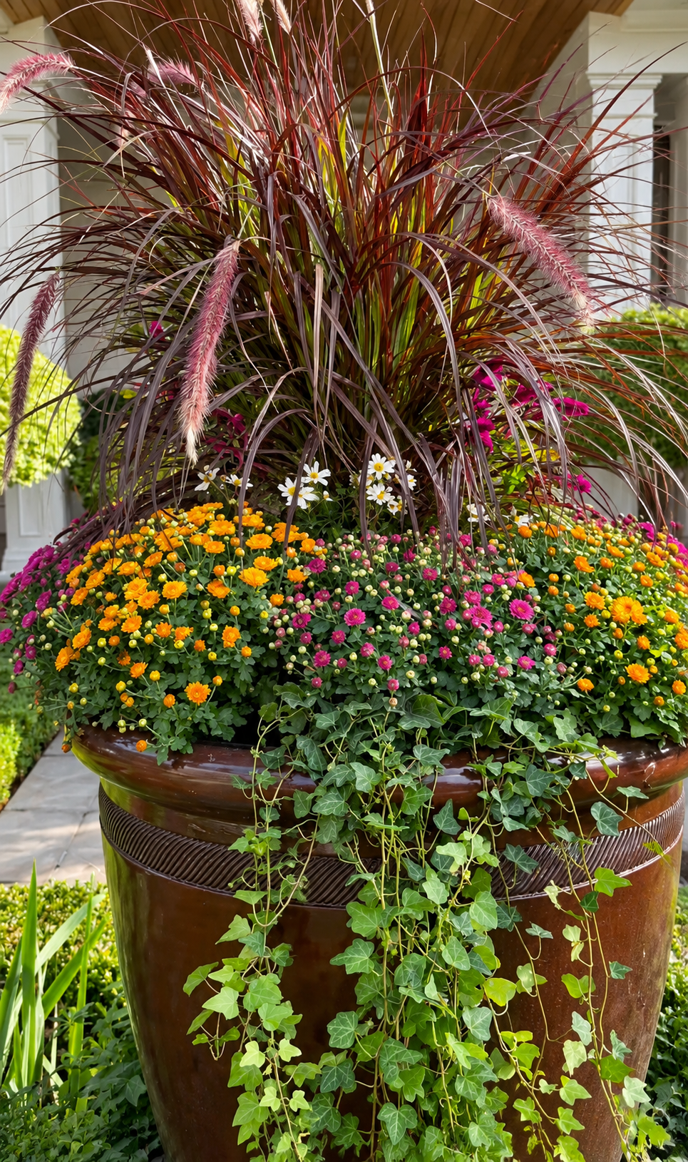 6.5" Mixed Garden Mums