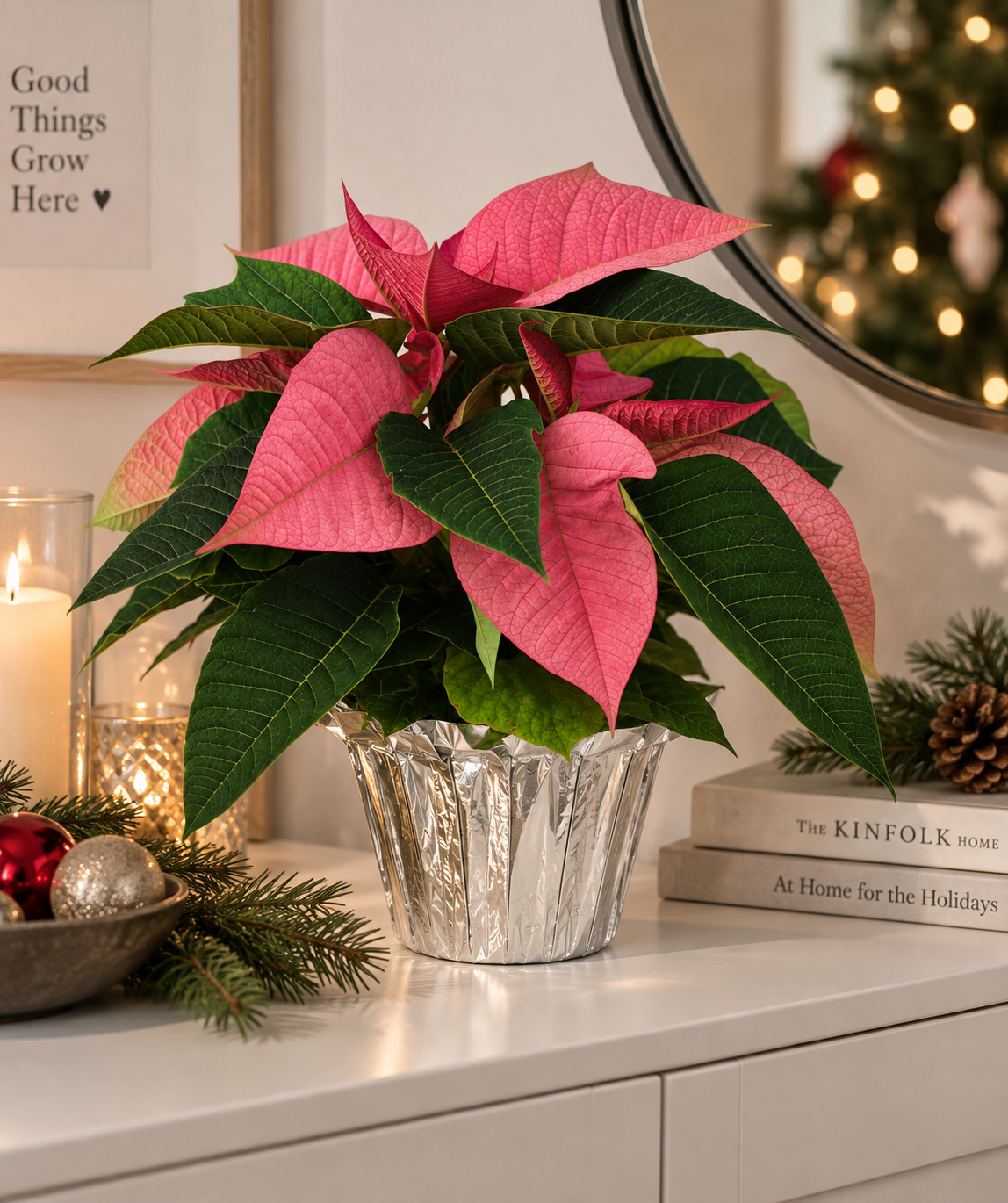 4" Poinsettia (Pre-Order)
