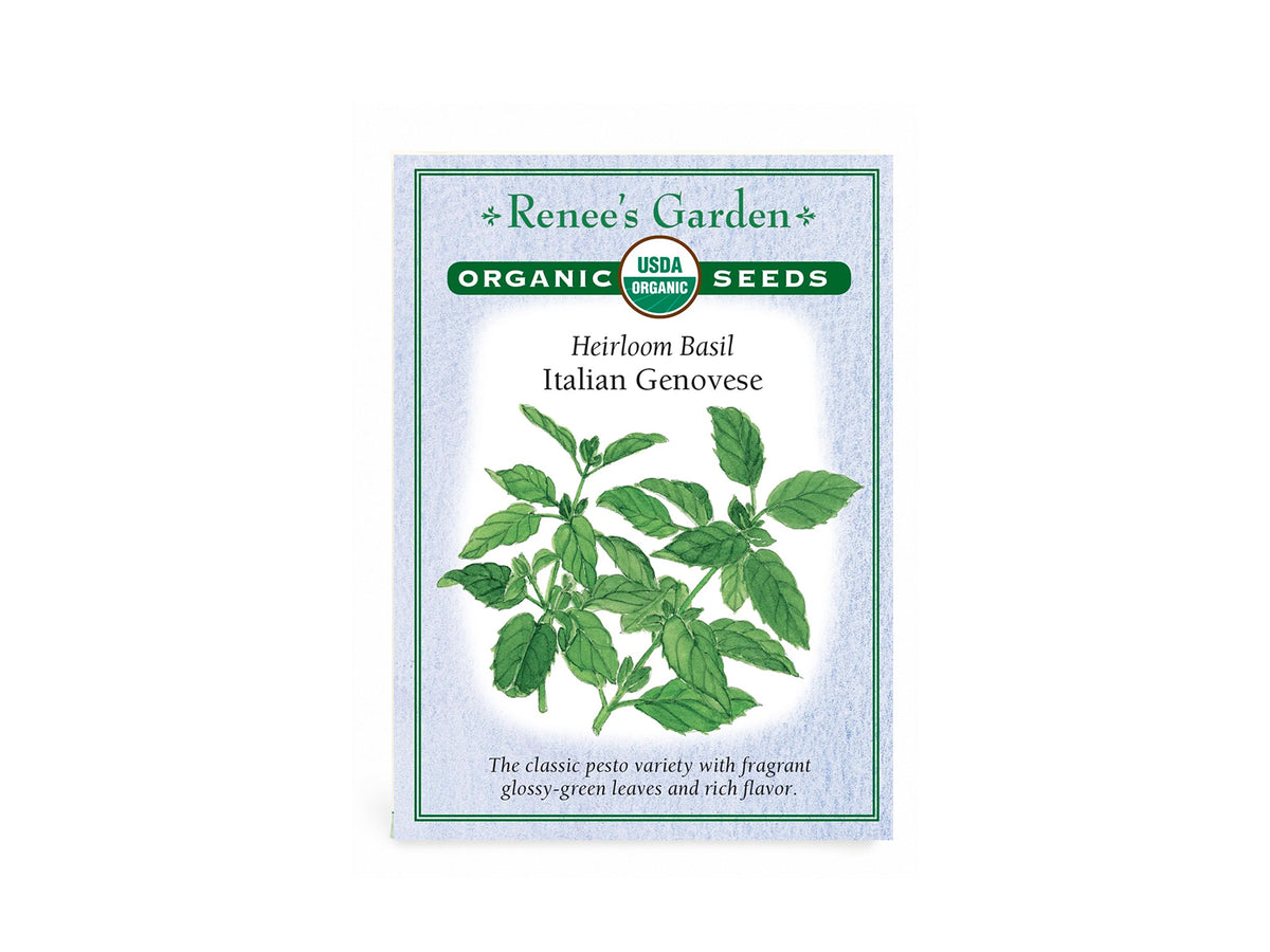 Heirloom Basil Italian Genovese Organic Seeds