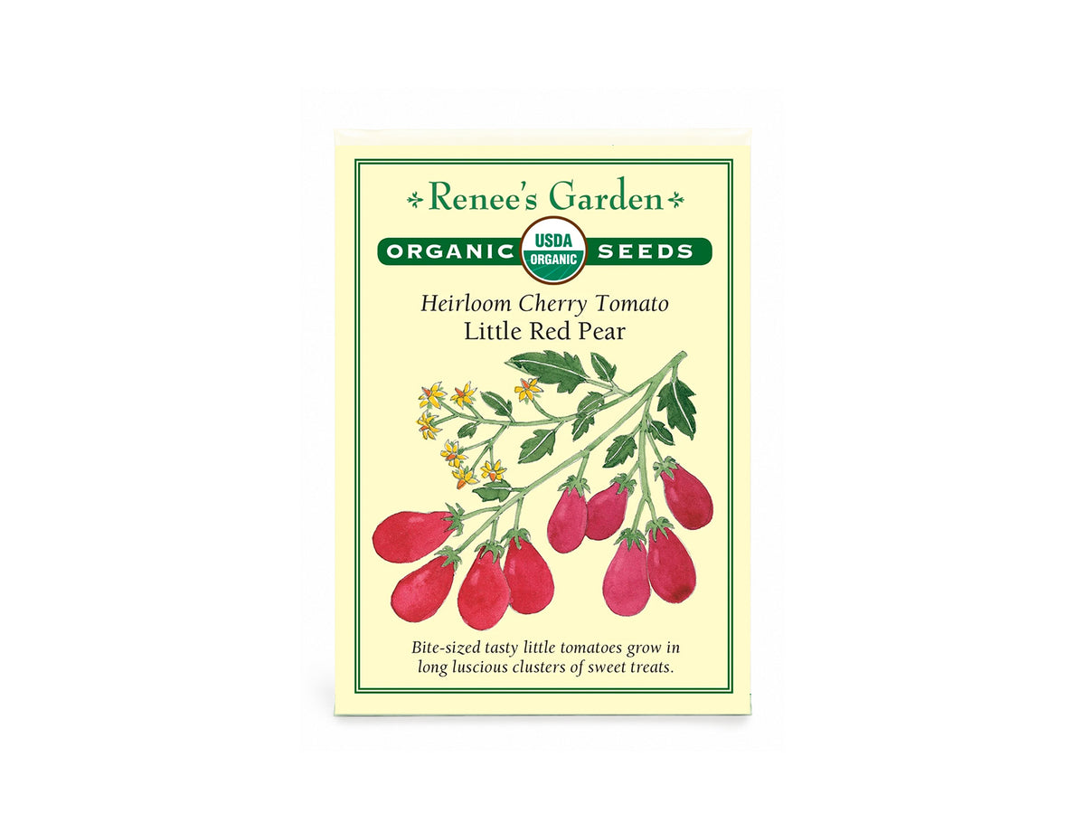 Heirloom Cherry Tomato Little Red Pear Organic Seeds