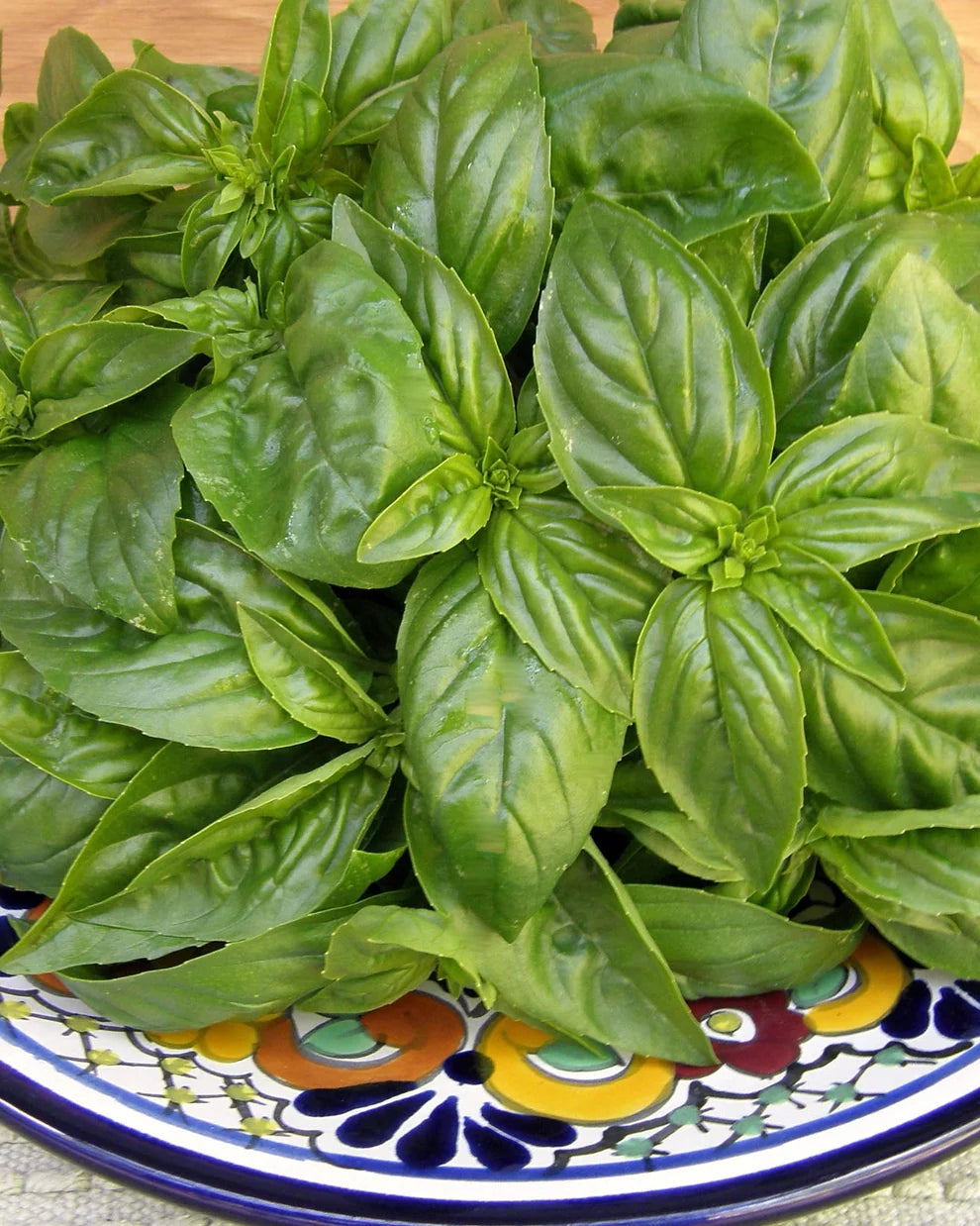 Heirloom Basil Italian Genovese Organic Seeds