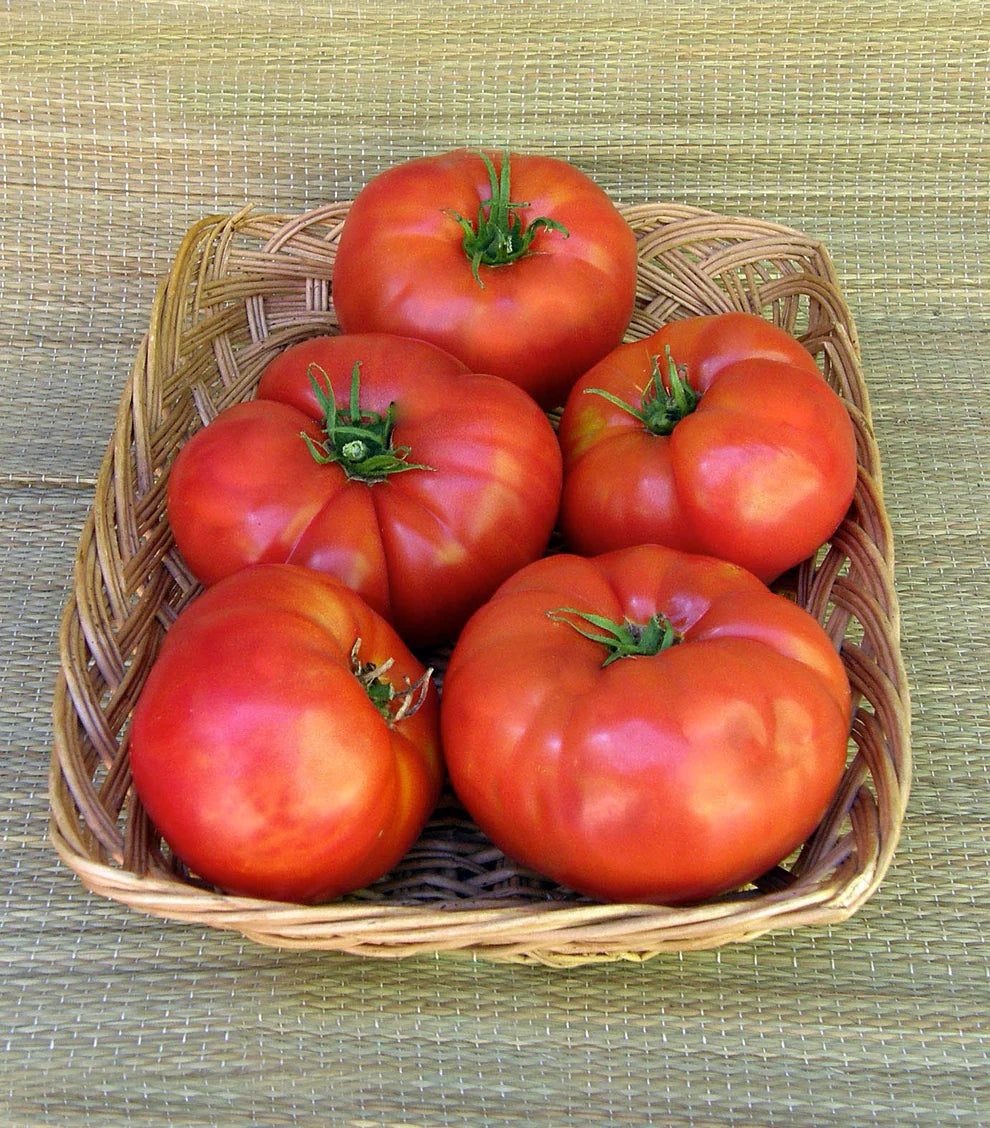 Heirloom Tomato  Brandywine Organic Seeds