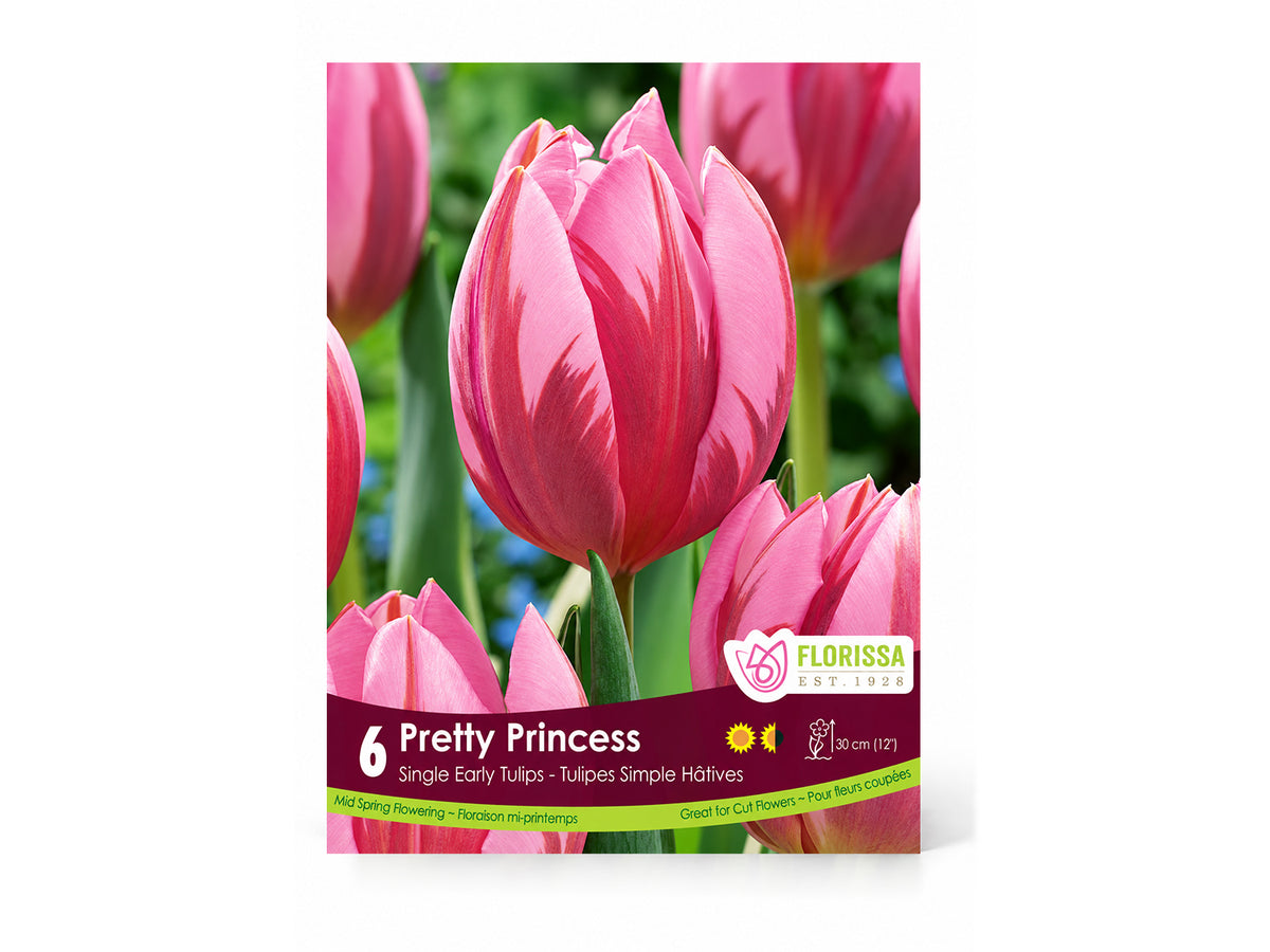 Tulip Bulbs – ‘Pretty Princess’