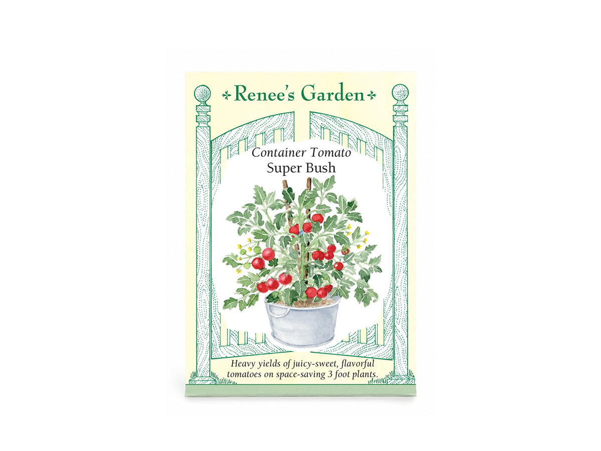 Container Tomato Super Bush Seeds